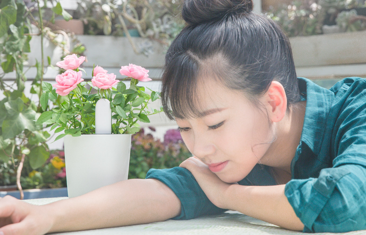 حسگر نظارت بر گل و گیاه-شیائومی | Xiaomi-Smart Plant Monitor