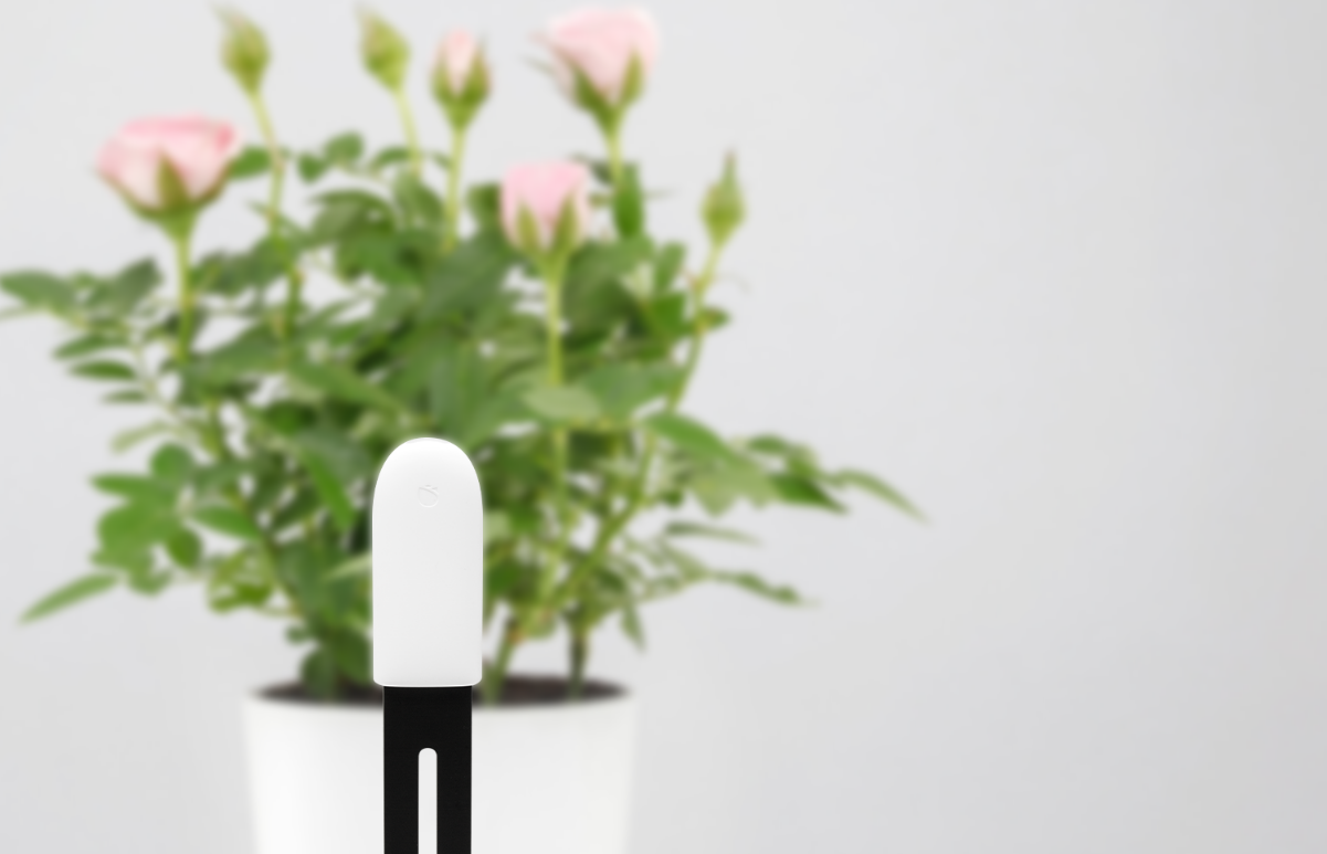 حسگر نظارت بر گل و گیاه-شیائومی | Xiaomi-Smart Plant Monitor